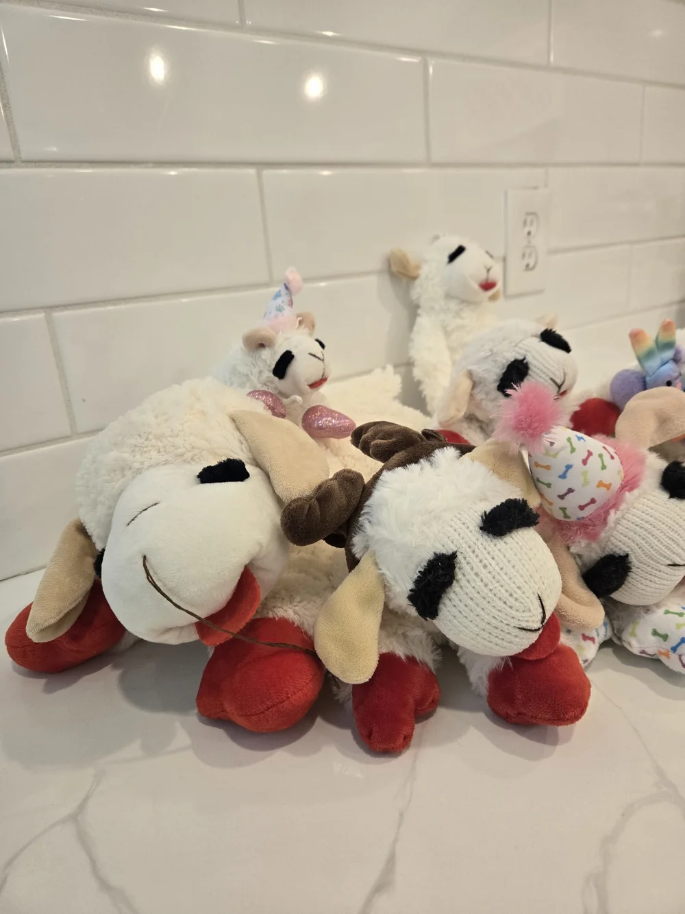 Lamb Chop Dog Toys